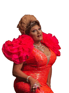 WhatsApp Image 2025-09-08 at 08.41.07